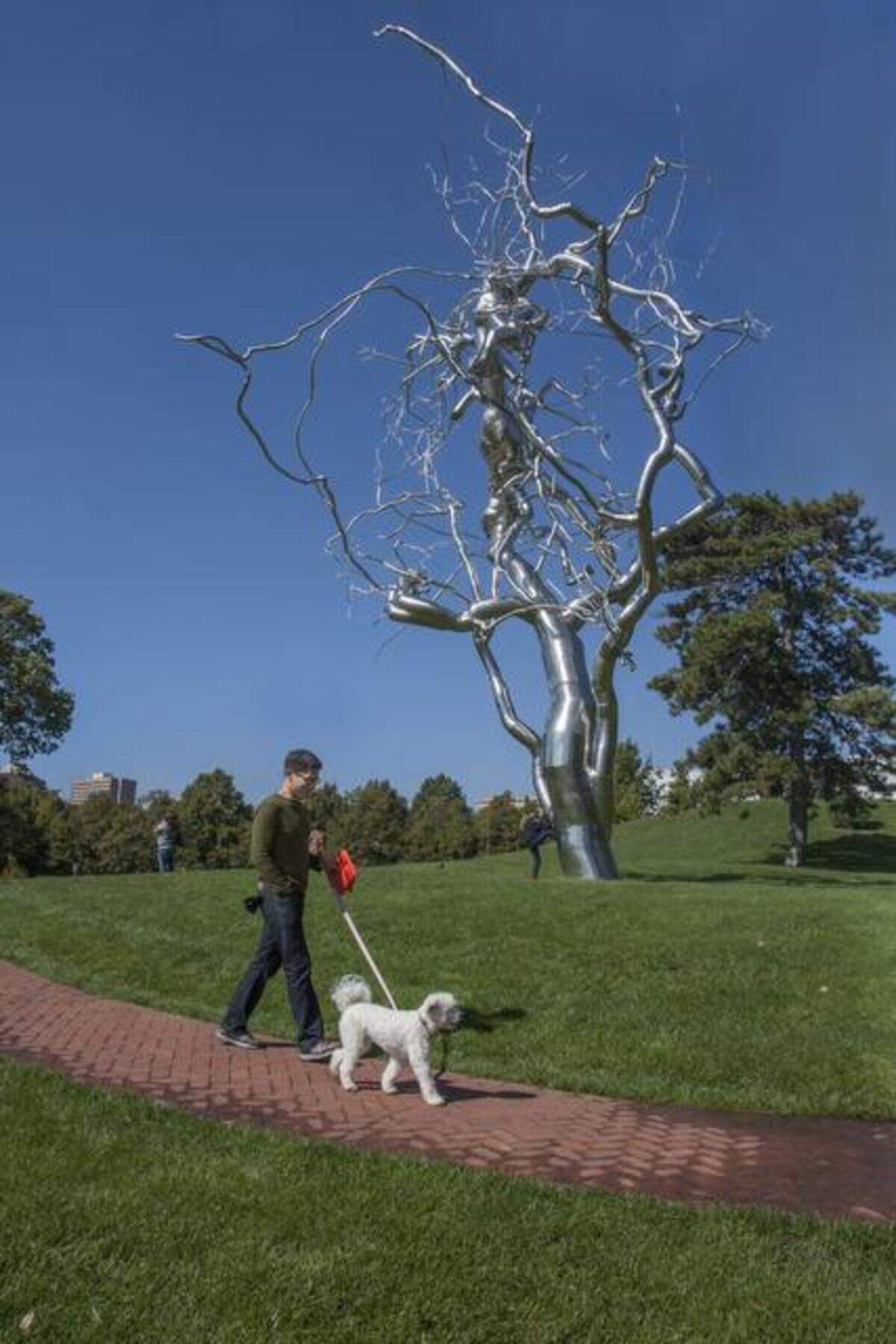 Nelson-Atkins Museum of Art debuts new hole for 2023 season